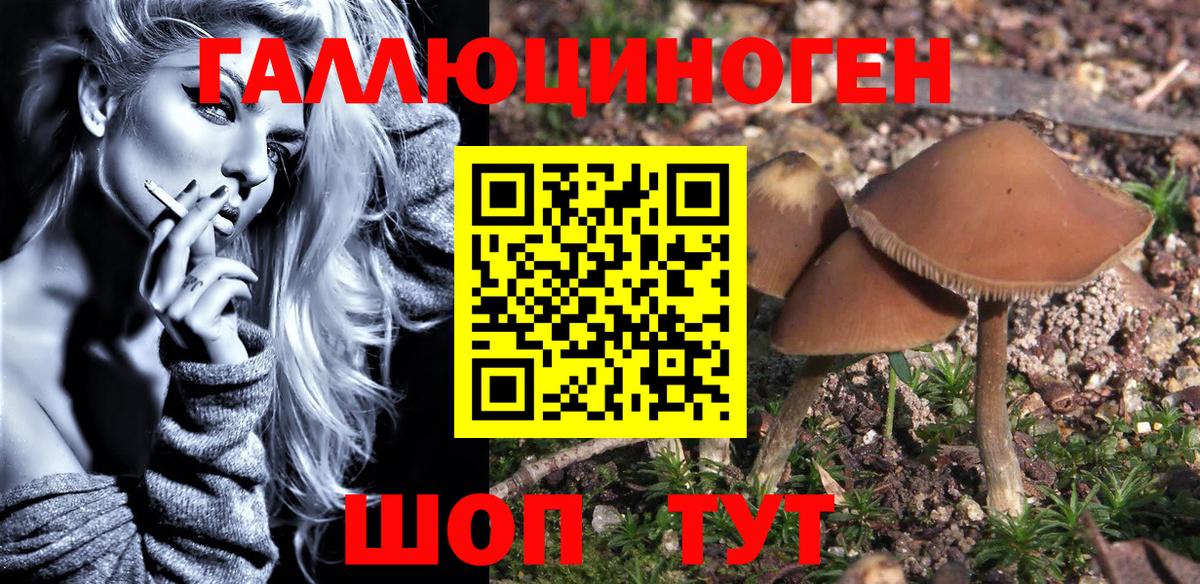 Псилоцибиновые грибы GOLDEN TEACHER  Псилоцибиновые грибы MAGIC MUSHROOMS  Вход с VPN  Светлоград 